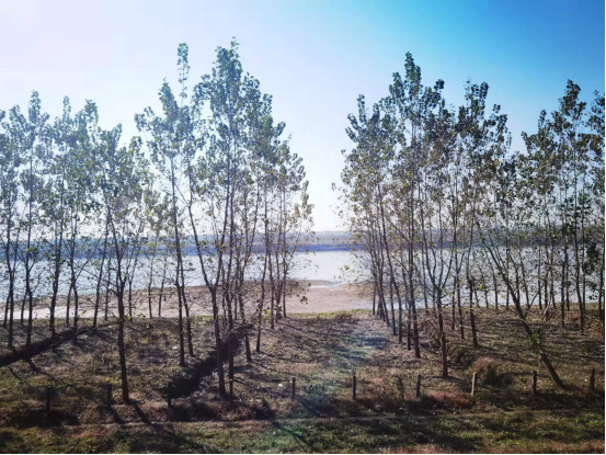 17e0a59dd603a64a662ef934ec8bf37f41.png 17e0a59dd603a64a662ef934ec8bf37f41.png