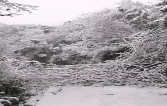 戰暴雪、保供電！湖南發展鳥兒巢公司應對極端天氣緊急搶修失電故障